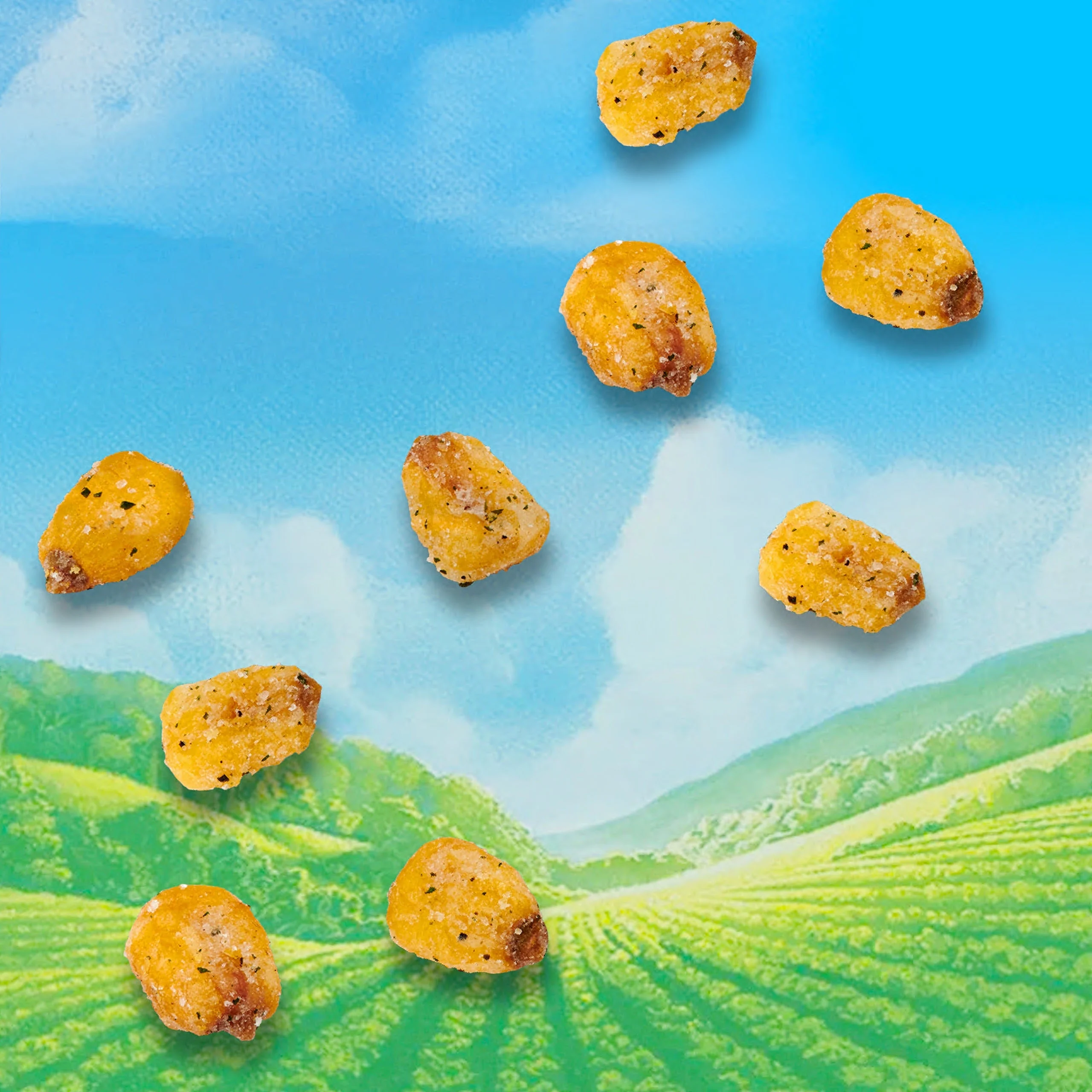 CRUNCHY CORN GOODNESS